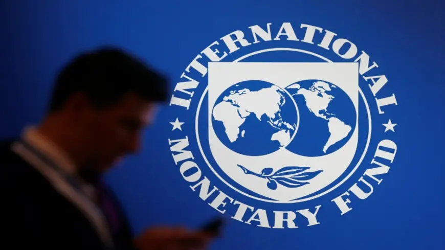 IMF'den 'Merkez Bankası ile Hemfikiriz, Doğru Yoldalar'